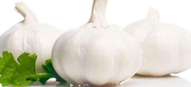 parasites garlic in the body