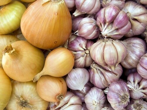 Garlic and onion - home remedies for the treatment of helminth infestation