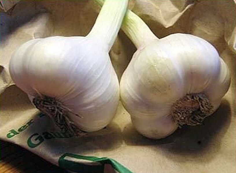 Garlic to prepare suppositories or antiparasitic enemas