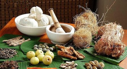 Popular remedies against parasites in the body