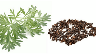 Clove and worm wood to eliminate body parasites