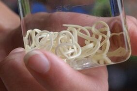 human body parasites